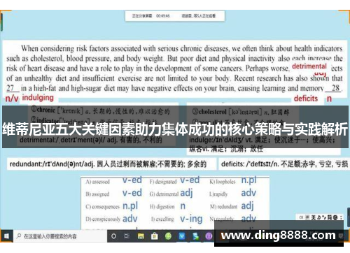 维蒂尼亚五大关键因素助力集体成功的核心策略与实践解析